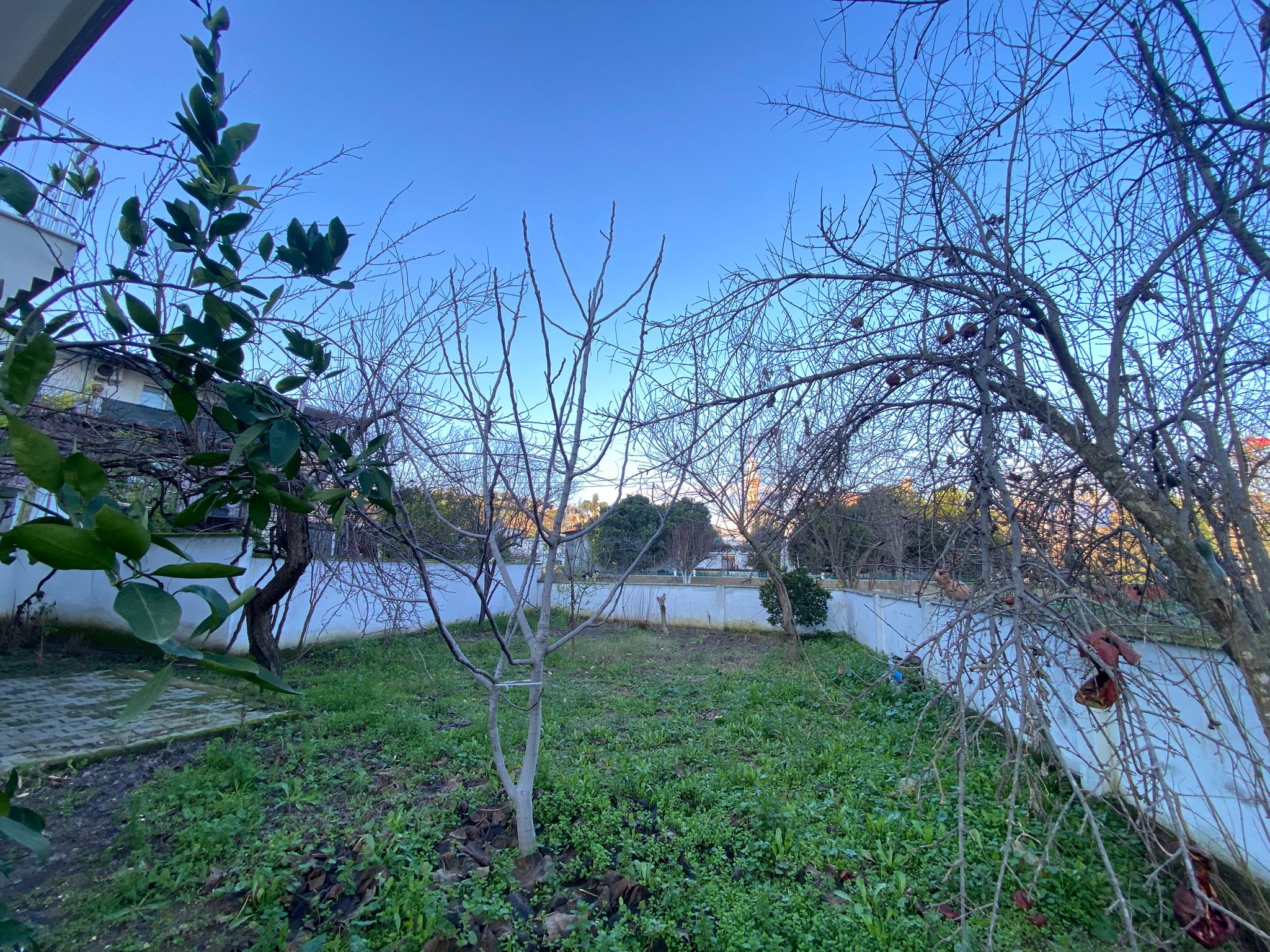 AYDIN KOÇARLI ÇAKIRBEYLİ’DE MANZARALI • ŞÖMİNELİ • BAHÇELİ MÜSTAKİL EV